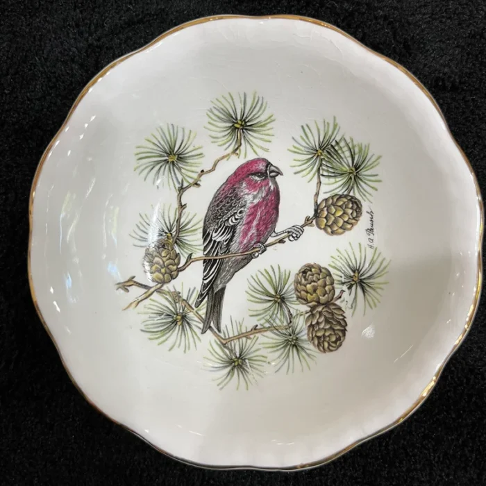 Royal Cauldon England Pine Grosbeak Plate 4" Size